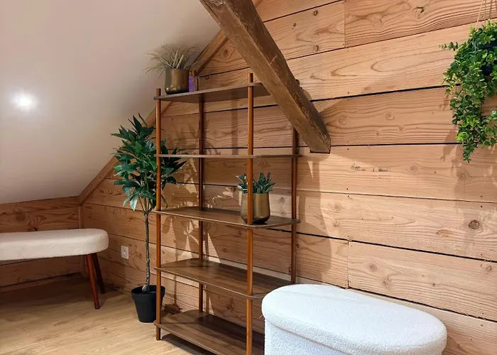 Les Cocons Des Guedons Le Douglas